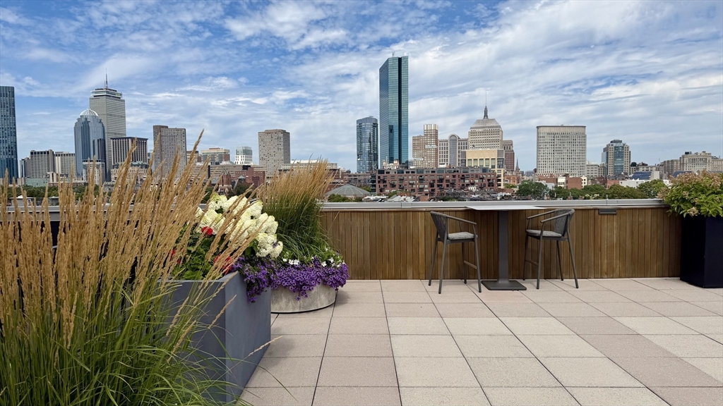 1313 Washington Street #310 in Boston