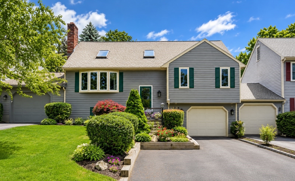 229 Comfort St #229 in Bridgewater