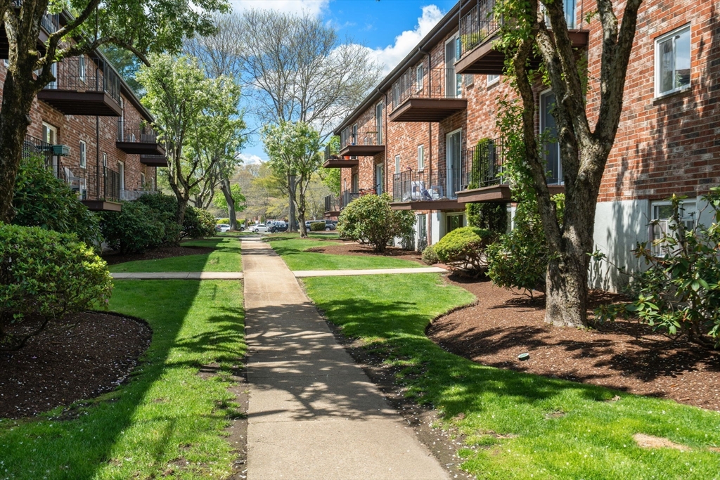 24 Westgate Road #5 in West Roxbury
