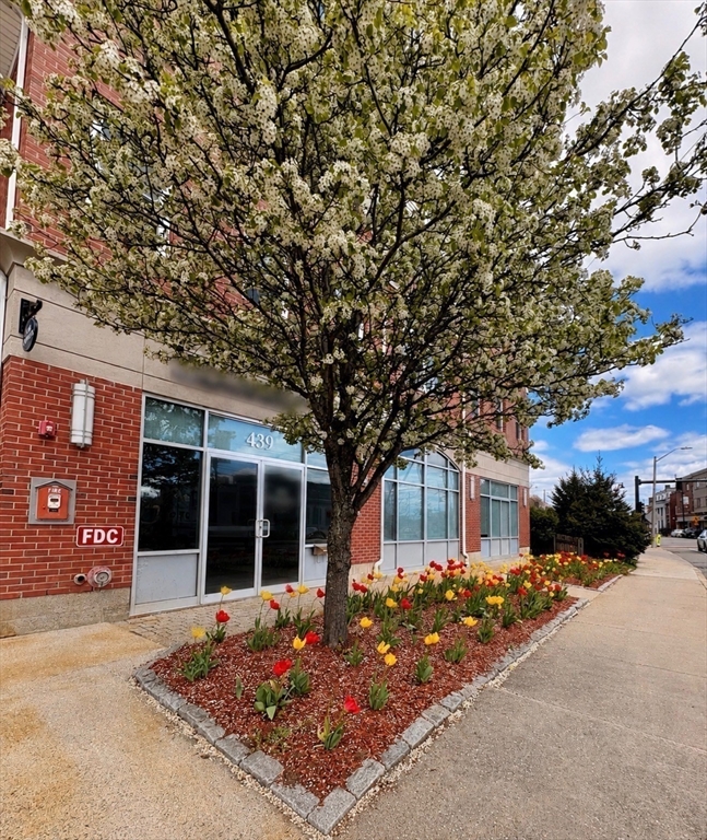 441 Washington St #203 in Dedham