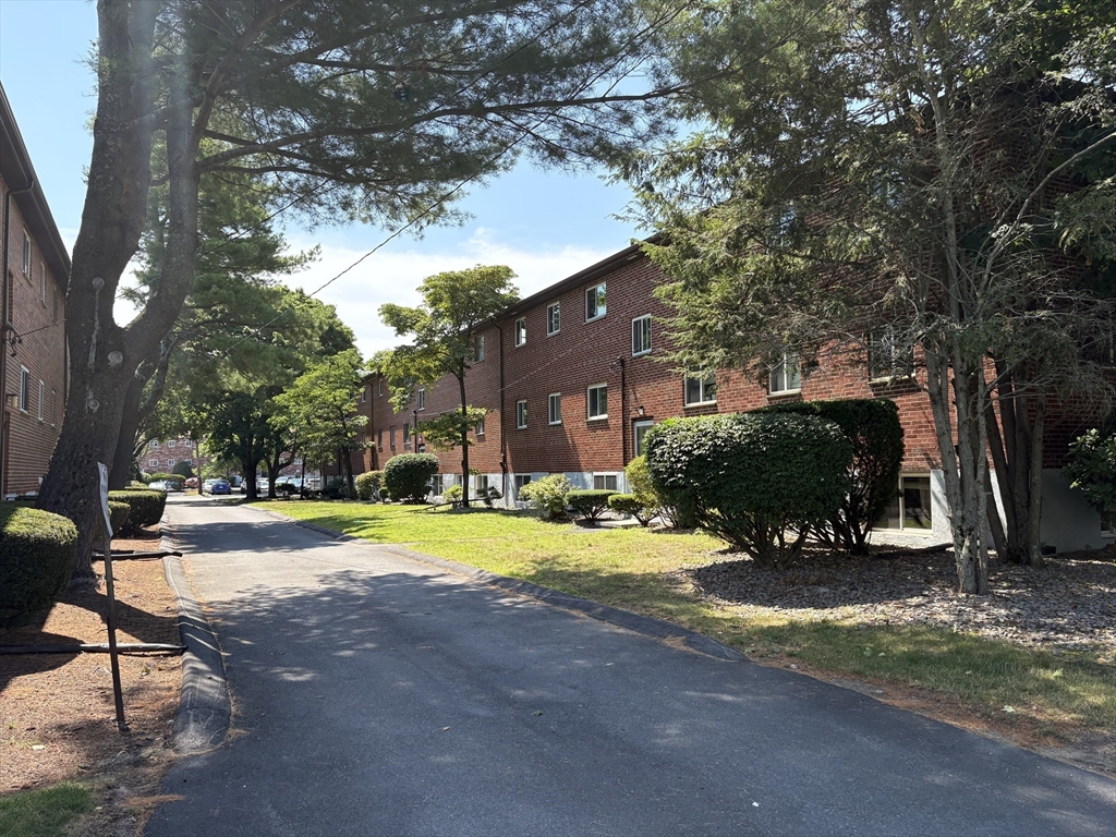 50 Bryon Road #4 in Chestnut Hill