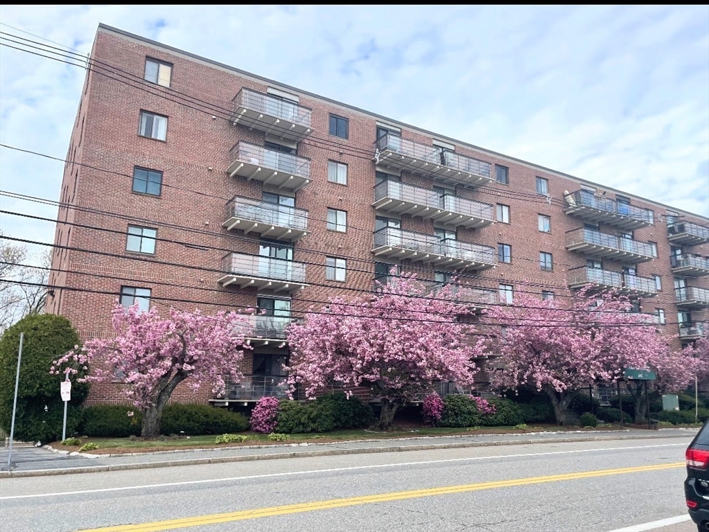 46 Cochituate Road #201 in Framingham