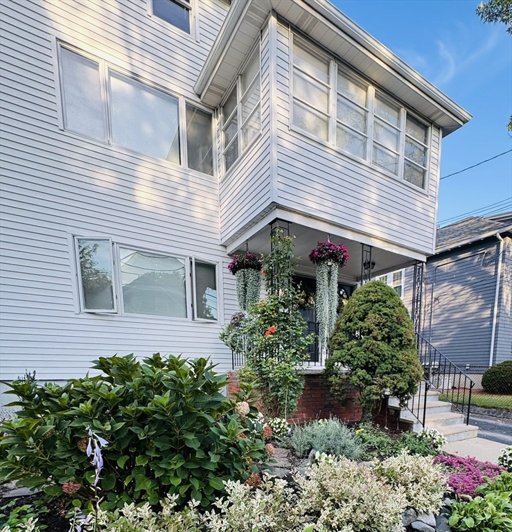 16-18 Alfred Rd in Arlington