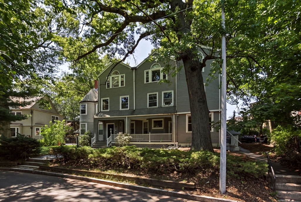 127 Kilsyth Rd #3 in Brighton
