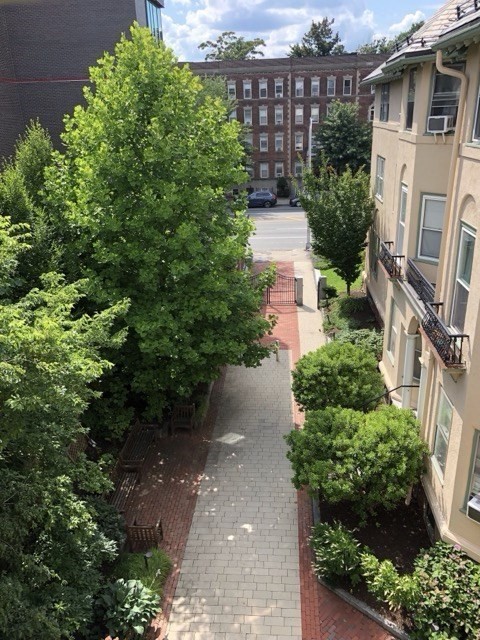 1619 Massachusetts Ave #36 in Cambridge