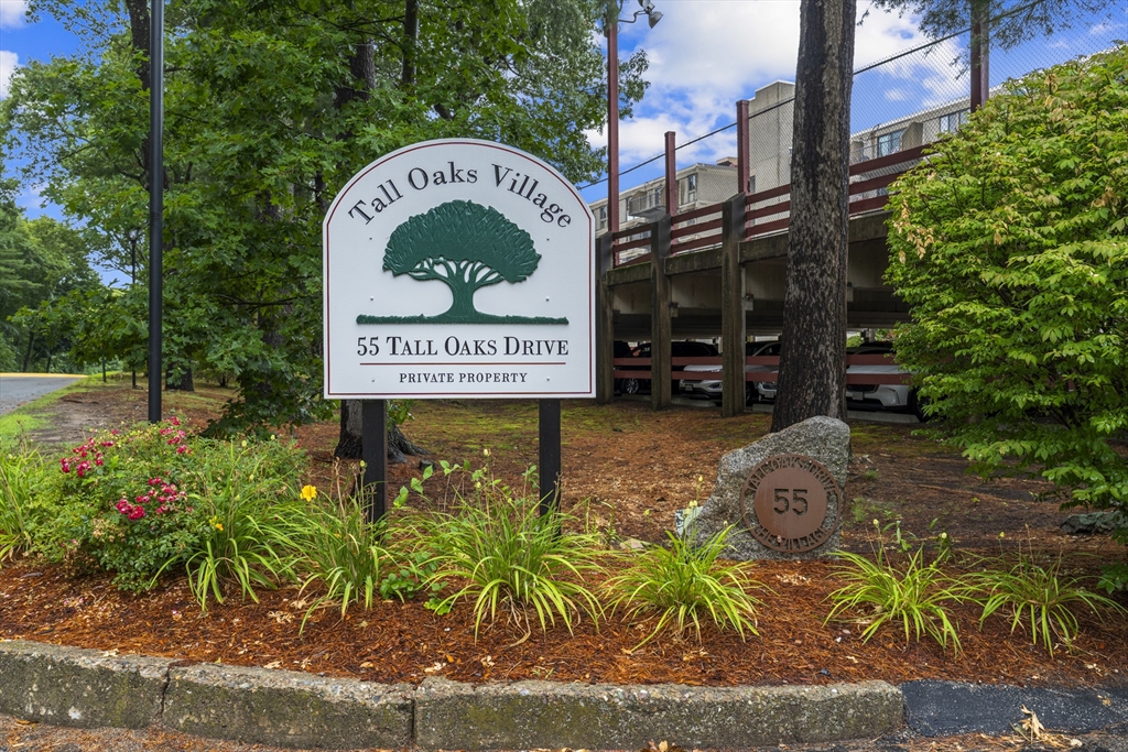 55 Tall Oaks Drive #705 in South Weymouth