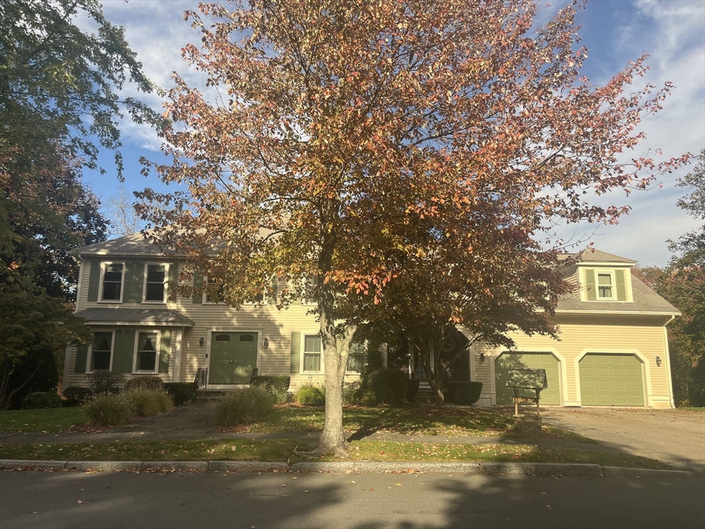 50 Thetford Ave in Braintree