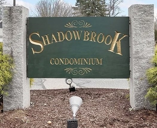 6 Shadowbrook Ln #34 in Milford