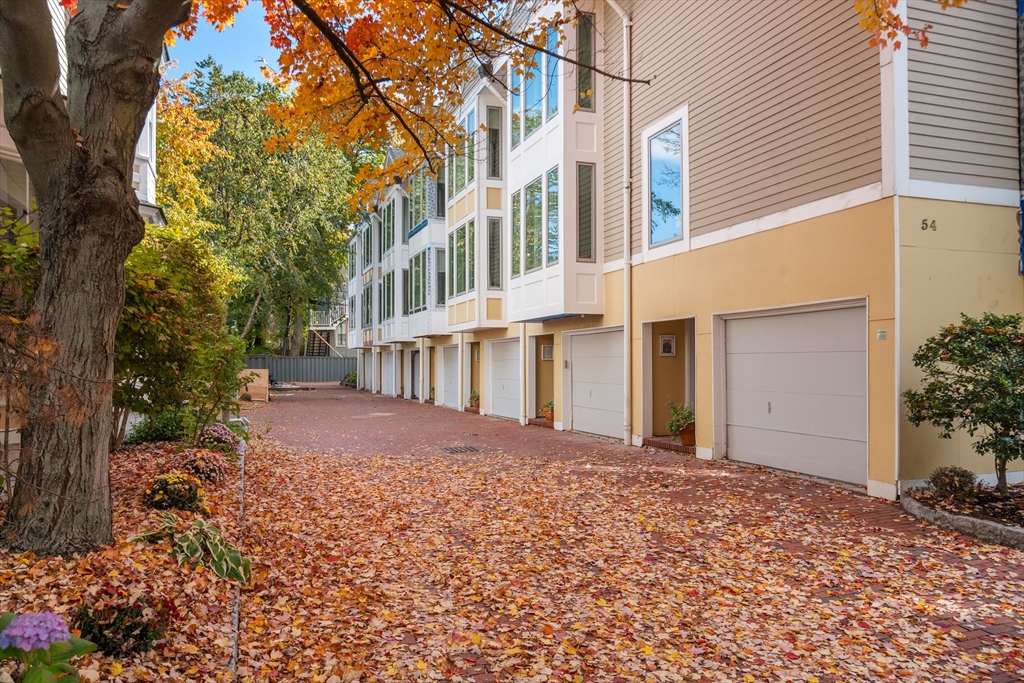 54 Trowbridge Street #B in Cambridge