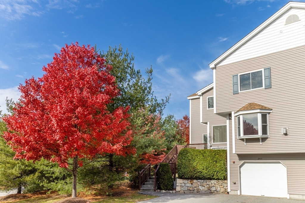 245 America #21d in Ashland